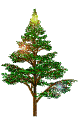 christmas-trees-NitsaPapacon - Gratis animeret GIF