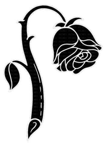 Black Rose - 無料のアニメーション GIF