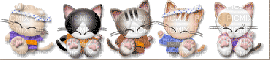 kitties - Darmowy animowany GIF