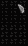 plume - Gratis geanimeerde GIF
