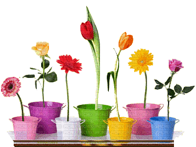 Fleurs.Flowers.Pot.gif.Victoriabea - Ücretsiz animasyonlu GIF