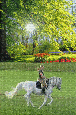 Cavalgada - GIF animasi gratis