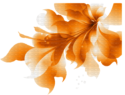 Flower, Flowers, Orange, Deco, Decoration, GIF Animation - Jitter.Bug.Girl