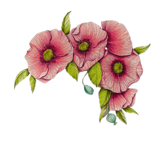 fleurs couronne - png grátis