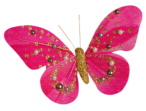 papillon - gratis png