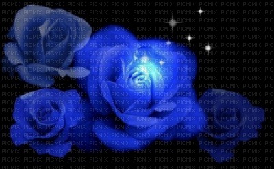 bleu rose - 無料png