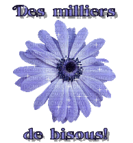 des milliers de bisous - Darmowy animowany GIF