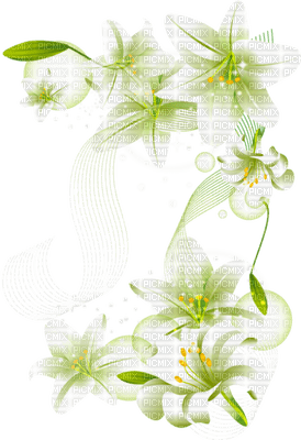 Kaz_Creations Flowers Flower - Free PNG