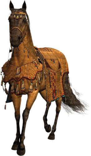 Лошадь - nemokama png