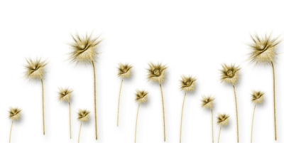goldene Blumen - PNG gratuit