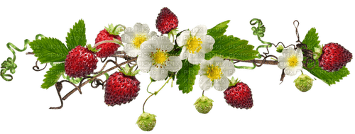 Strawberries.Red.Green - Free PNG