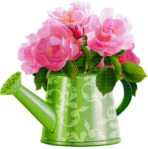 Watering.Can.Roses.Pink.Green - безплатен png