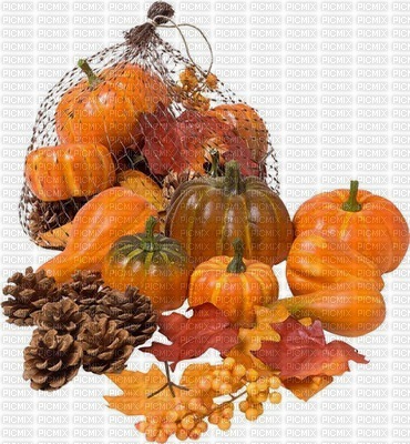 automne citrouille_pumpkin_ Halloween_autumn_BlueDREAM 70 - PNG gratuit
