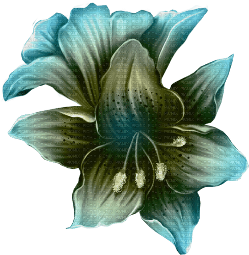 gala flowers - zdarma png