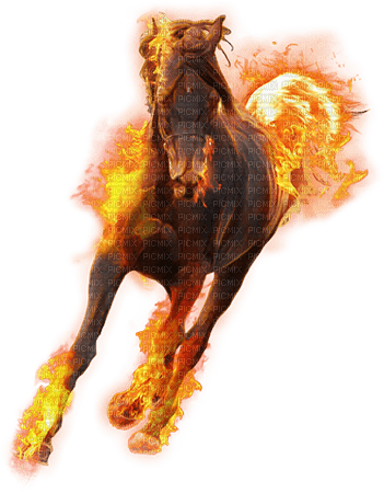 soave horse deco fire  yellow orange brown - png gratis