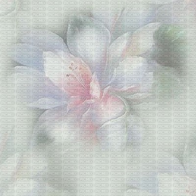 bg-flower-blue-pink - 無料png
