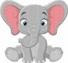 elefante - бесплатно png