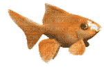 poisson - GIF animasi gratis