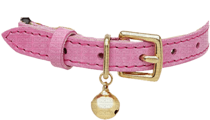pink collar - PNG gratuit