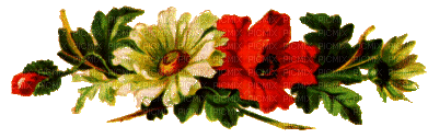 Flores - GIF animado grátis