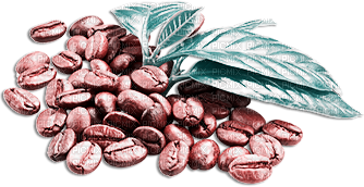 soave deco coffee pink teal - 免费PNG