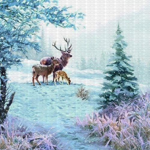 Background Winter Deer - Free PNG