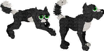 Petz Black and White Dogz Playing - Бесплатни анимирани ГИФ