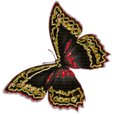 Papillon.Cheyenne63 - Бесплатный анимированный гифка