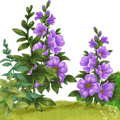 fleur violette.Cheyenne63 - kostenlos png