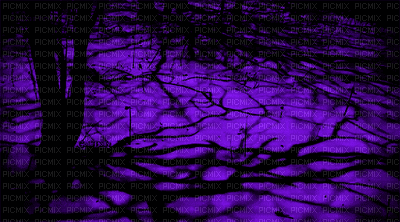 tree shadows - Zdarma animovaný GIF