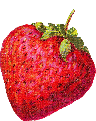 Vintage Strawberry - ücretsiz png