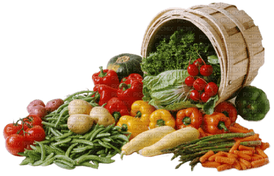 vegetables bp - фрее пнг