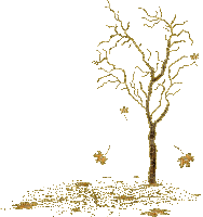 Осень-дерево.гиф. - Animovaný GIF zadarmo