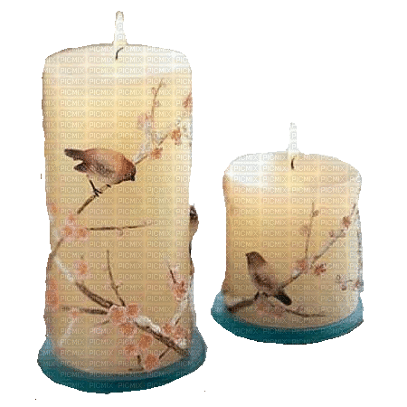zwei Kerzen, Vögel, Zweige - 無料のアニメーション GIF