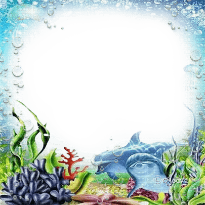 soave frame summer underwater sea dolphin blue - Free PNG