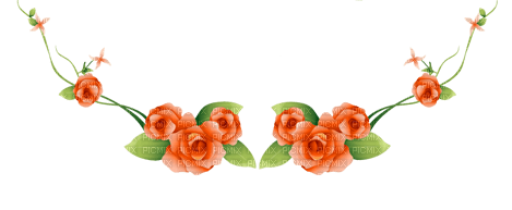 Flores colgantes - nemokama png