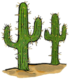 succulent plants bp - Animovaný GIF zadarmo