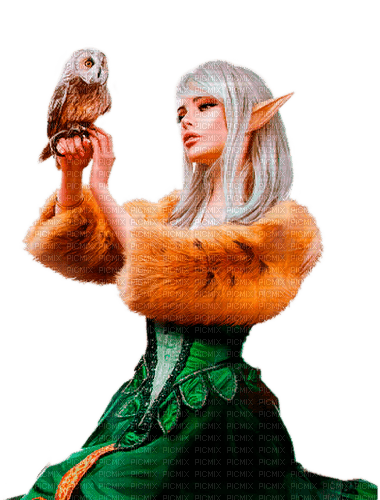 winter elf  by nataliplus - δωρεάν png