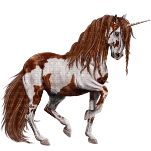 Paint Unicorn Horse - gratis png