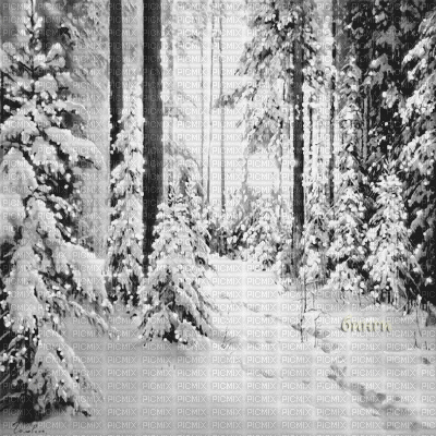 Y.A.M._Winter background black-white - GIF animado gratis