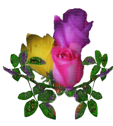 virág-hullámzik - Nemokamas animacinis gif
