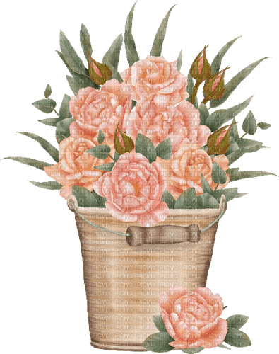 rose bucket Bb2 - δωρεάν png