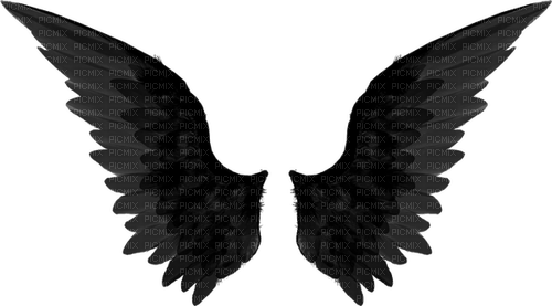 black wings Bb2 - gratis png