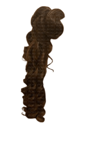 cheveux bruns - ücretsiz png