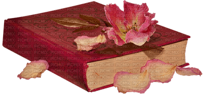 minou-deco-Book and flowers - ücretsiz png