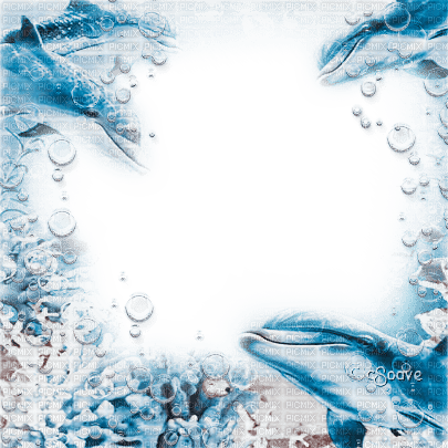 soave frame summer underwater dolphin blue brown - Free PNG