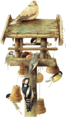 inou-bird house-fågelhus-bird-fåglar - 免费PNG