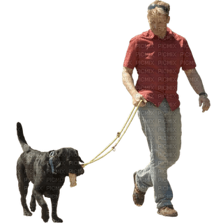 Kaz_Creations Dog Pup Dogs 🐶Man Homme Walking - δωρεάν png