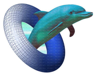 Kaz_Creations Dolphins Dolphin - фрее пнг