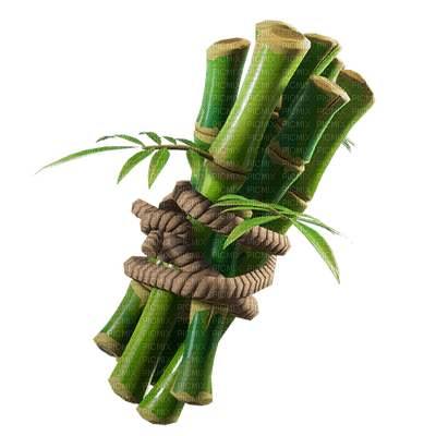 bamboo bp - ingyenes png